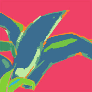 Haut Cascada - Afrodita